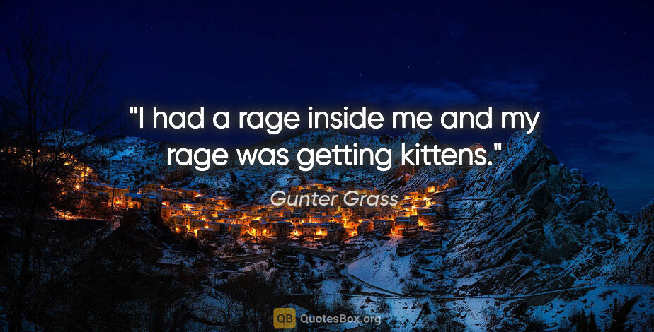 Gunter Grass quote: "I had a rage inside me and my rage was getting kittens."