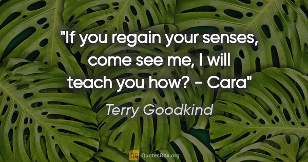 Terry Goodkind quote: "If you regain your senses, come see me, I will teach you how?..."