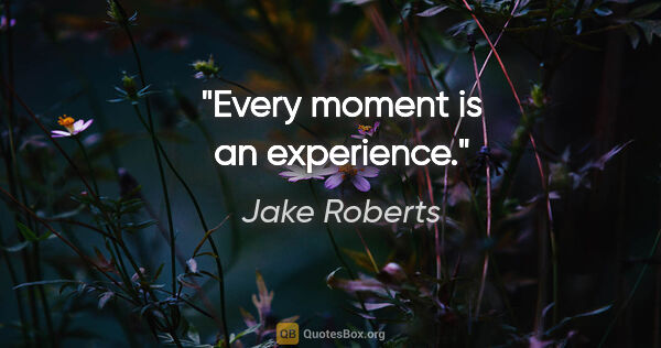 Jake Roberts quote: "Every moment is an experience."