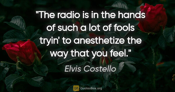 Elvis Costello quote: "The radio is in the hands of such a lot of fools tryin' to..."