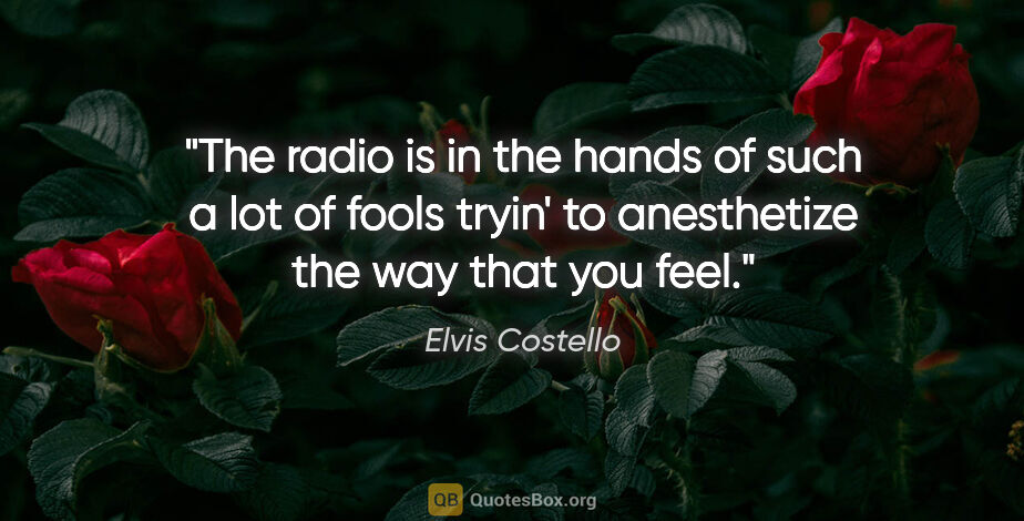 Elvis Costello quote: "The radio is in the hands of such a lot of fools tryin' to..."