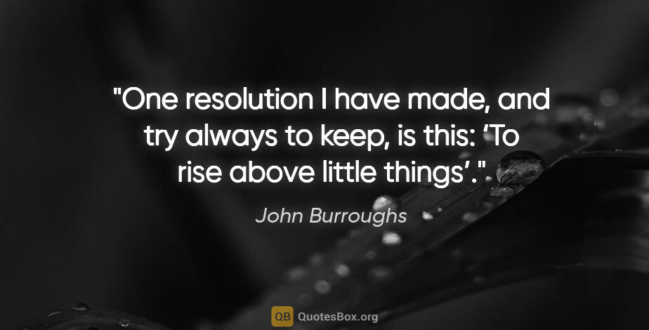 John Burroughs quote: "One resolution I have made, and try always to keep, is this:..."