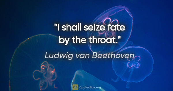 Ludwig van Beethoven quote: "I shall seize fate by the throat."