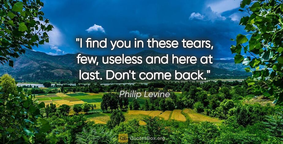 Philip Levine quote: "I find you in these tears, few, useless and here at last...."
