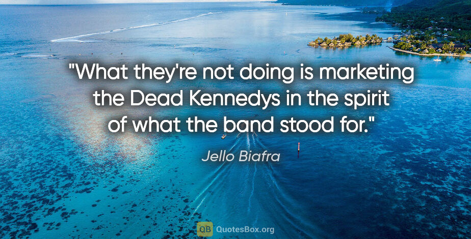 Jello Biafra quote: "What they're not doing is marketing the Dead Kennedys in the..."