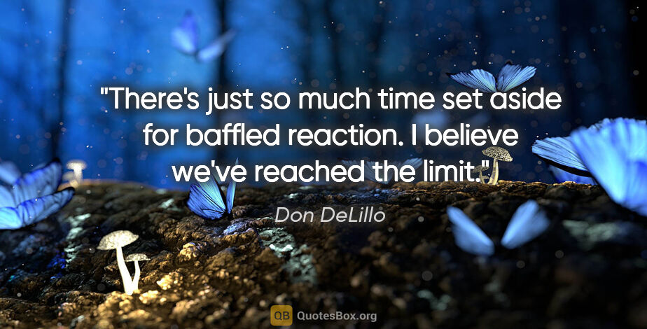 Don DeLillo quote: "There's just so much time set aside for baffled reaction. I..."