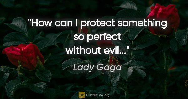 Lady Gaga quote: "How can I protect something so perfect without evil..."