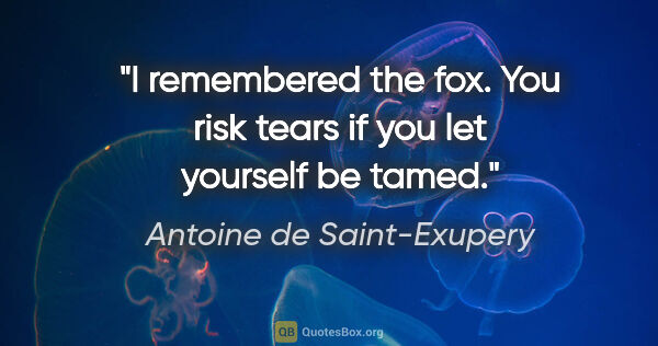 Antoine de Saint-Exupery quote: "I remembered the fox. You risk tears if you let yourself be..."