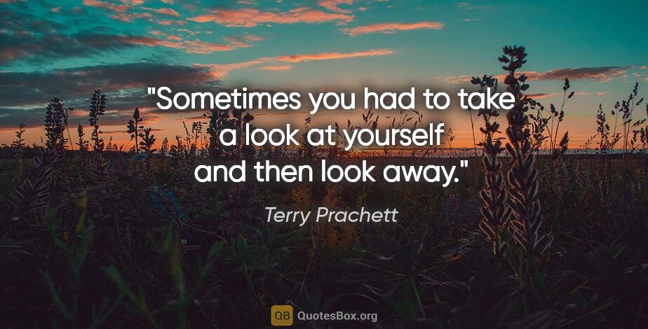 Terry Prachett quote: "Sometimes you had to take a look at yourself and then look away."