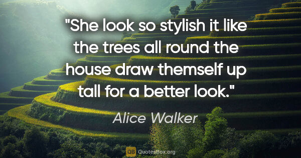 Alice Walker quote: "She look so stylish it like the trees all round the house draw..."