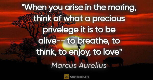 Marcus Aurelius quote: "When you arise in the moring, think of what a precious..."