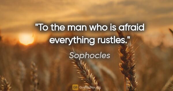 Sophocles quote: "To the man who is afraid everything rustles."