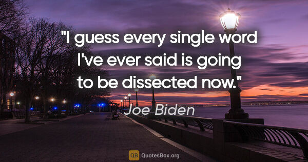 Joe Biden quote: "I guess every single word I've ever said is going to be..."