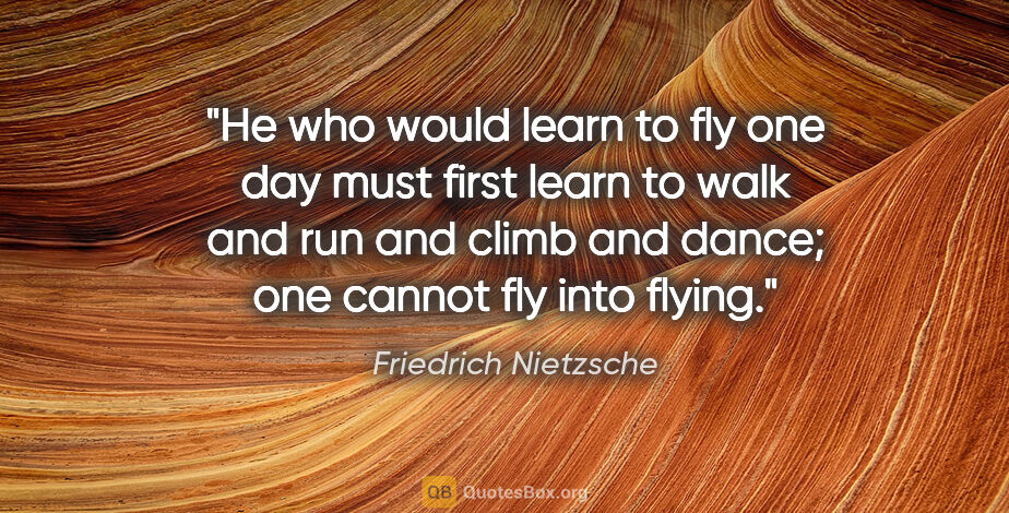 Friedrich Nietzsche quote: "He who would learn to fly one day must first learn to walk and..."