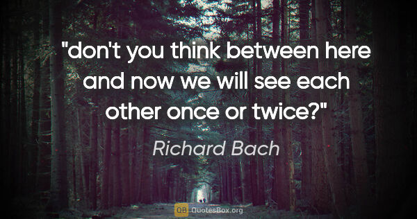 Richard Bach quote: "don't you think between here and now we will see each other..."