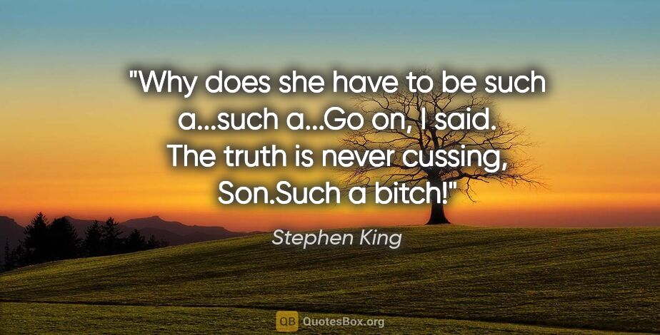 Stephen King quote: "Why does she have to be such a...such a..."Go on," I said...."