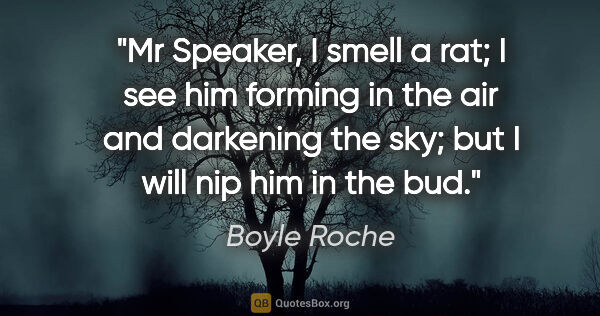 Boyle Roche quote: "Mr Speaker, I smell a rat; I see him forming in the air and..."