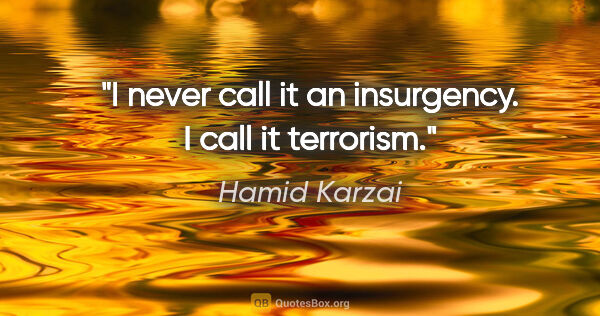 Hamid Karzai quote: "I never call it an insurgency. I call it terrorism."