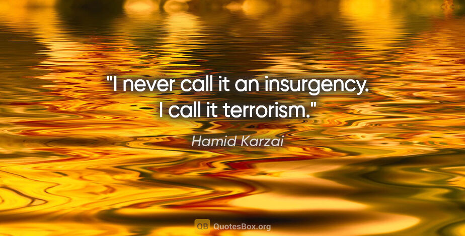 Hamid Karzai quote: "I never call it an insurgency. I call it terrorism."