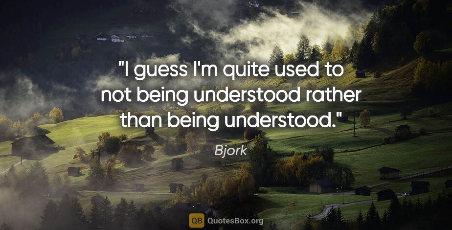 Bjork quote: "I guess I'm quite used to not being understood rather than..."
