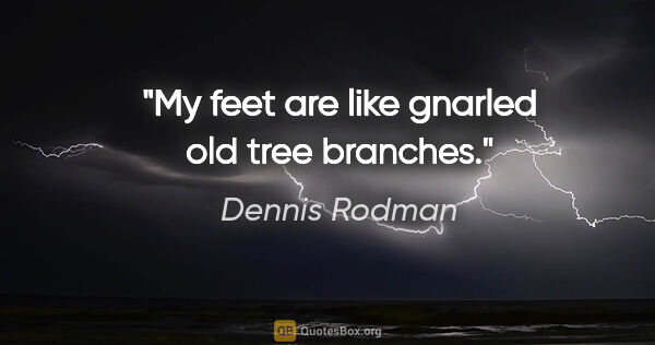 Dennis Rodman quote: "My feet are like gnarled old tree branches."