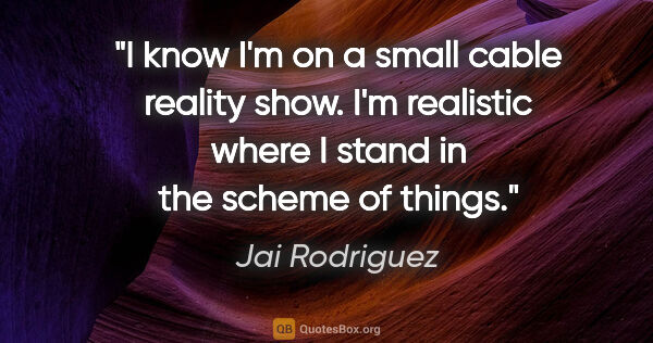 Jai Rodriguez quote: "I know I'm on a small cable reality show. I'm realistic where..."