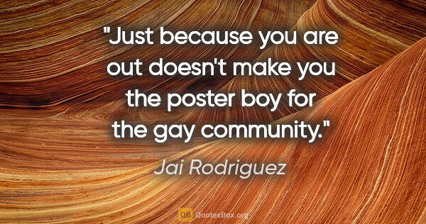 Jai Rodriguez quote: "Just because you are out doesn't make you the poster boy for..."