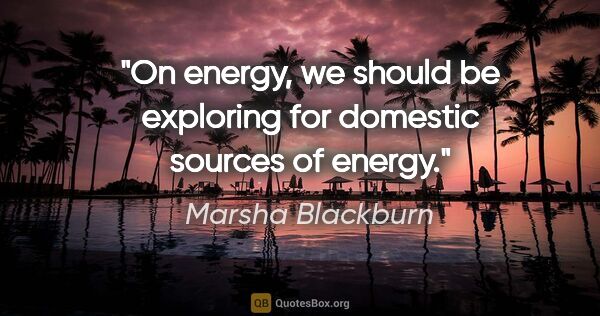 Marsha Blackburn quote: "On energy, we should be exploring for domestic sources of energy."