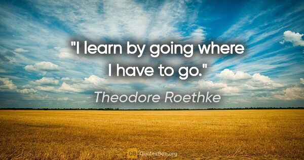 Theodore Roethke quote: "I learn by going where I have to go."