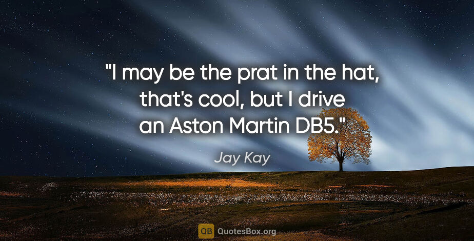 Jay Kay quote: "I may be the prat in the hat, that's cool, but I drive an..."