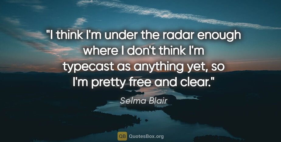 Selma Blair quote: "I think I'm under the radar enough where I don't think I'm..."