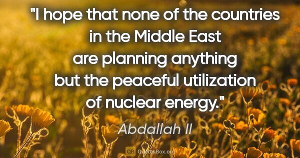 Abdallah II quote: "I hope that none of the countries in the Middle East are..."