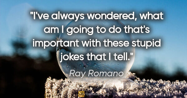Ray Romano quote: "I've always wondered, what am I going to do that's important..."