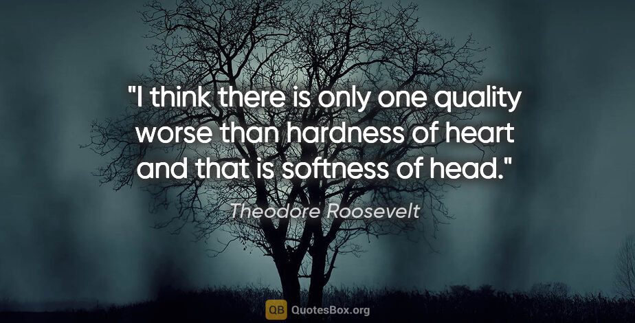 Theodore Roosevelt quote: "I think there is only one quality worse than hardness of heart..."