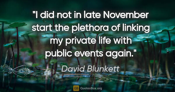 David Blunkett quote: "I did not in late November start the plethora of linking my..."