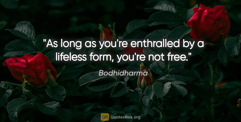 Bodhidharma quote: "As long as you're enthralled by a lifeless form, you're not free."