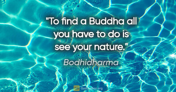 Bodhidharma quote: "To find a Buddha all you have to do is see your nature."