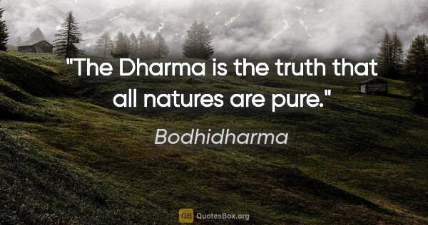 Bodhidharma quote: "The Dharma is the truth that all natures are pure."