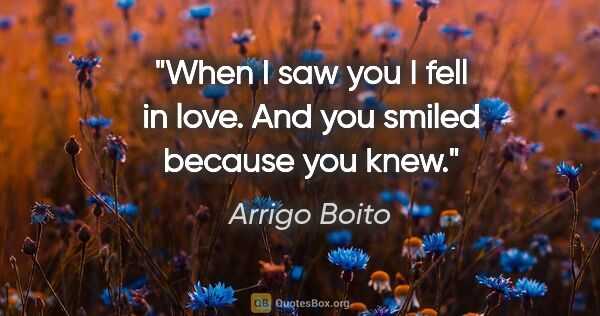 Arrigo Boito quote: "When I saw you I fell in love. And you smiled because you knew."