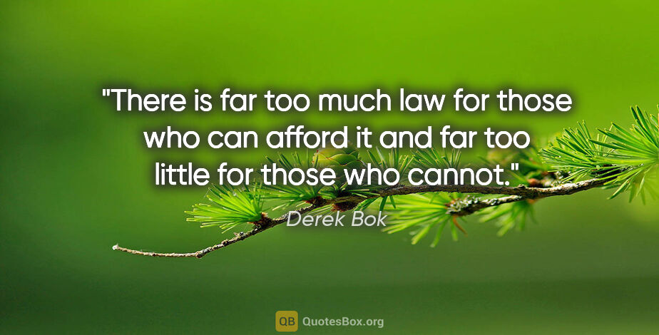 Derek Bok quote: "There is far too much law for those who can afford it and far..."