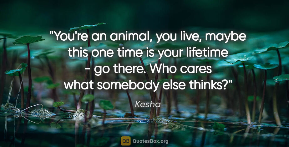 Kesha quote: "You're an animal, you live, maybe this one time is your..."