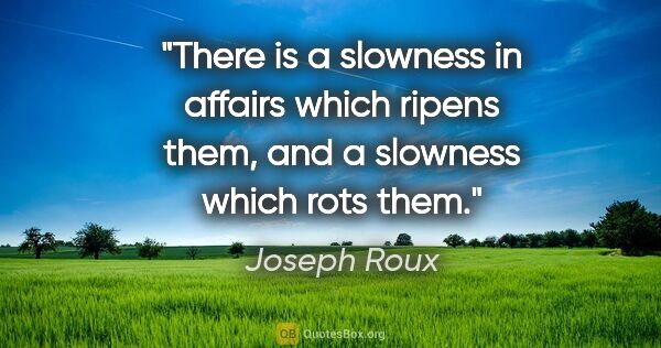 Joseph Roux quote: "There is a slowness in affairs which ripens them, and a..."