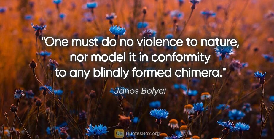 Janos Bolyai quote: "One must do no violence to nature, nor model it in conformity..."