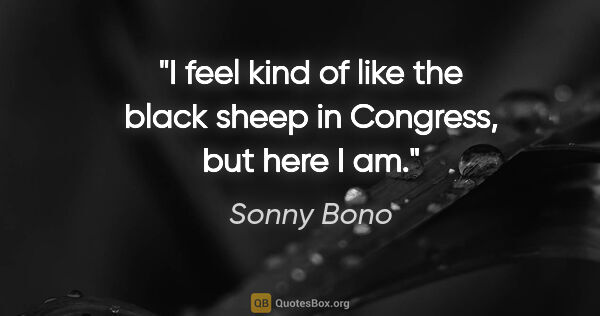 Sonny Bono quote: "I feel kind of like the black sheep in Congress, but here I am."