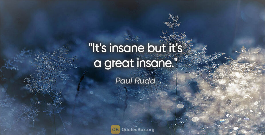 Paul Rudd quote: "It's insane but it's a great insane."