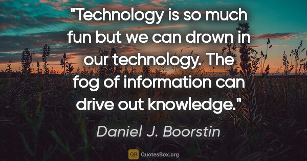 Daniel J. Boorstin quote: "Technology is so much fun but we can drown in our technology...."