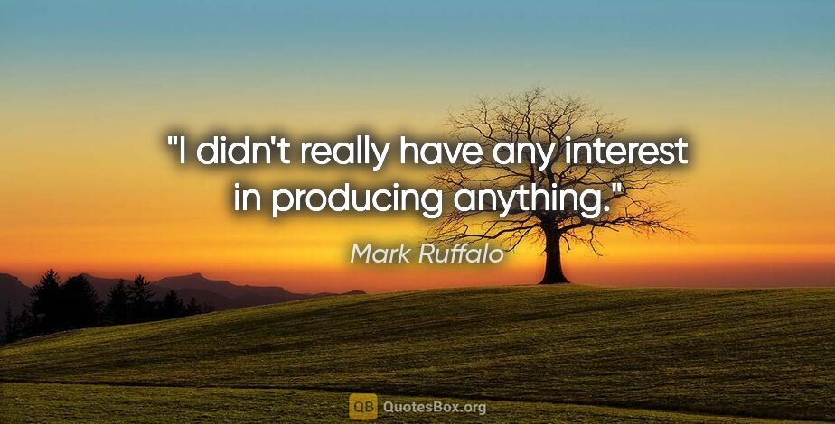 Mark Ruffalo quote: "I didn't really have any interest in producing anything."