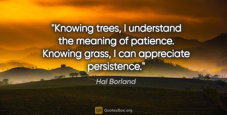 Hal Borland quote: "Knowing trees, I understand the meaning of patience. Knowing..."