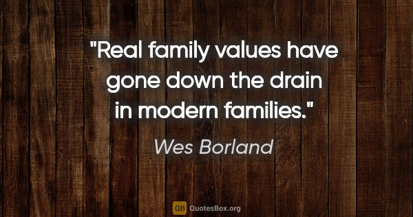 Wes Borland quote: "Real family values have gone down the drain in modern families."