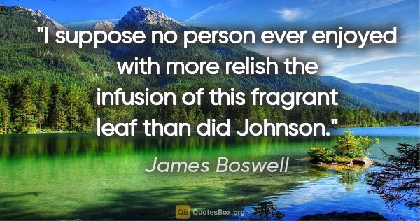 James Boswell quote: "I suppose no person ever enjoyed with more relish the infusion..."